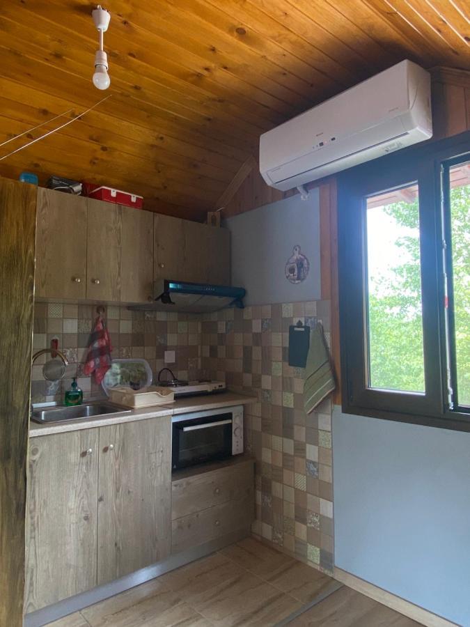 Γαληνη 3 Villa Litóchoron Dış mekan fotoğraf