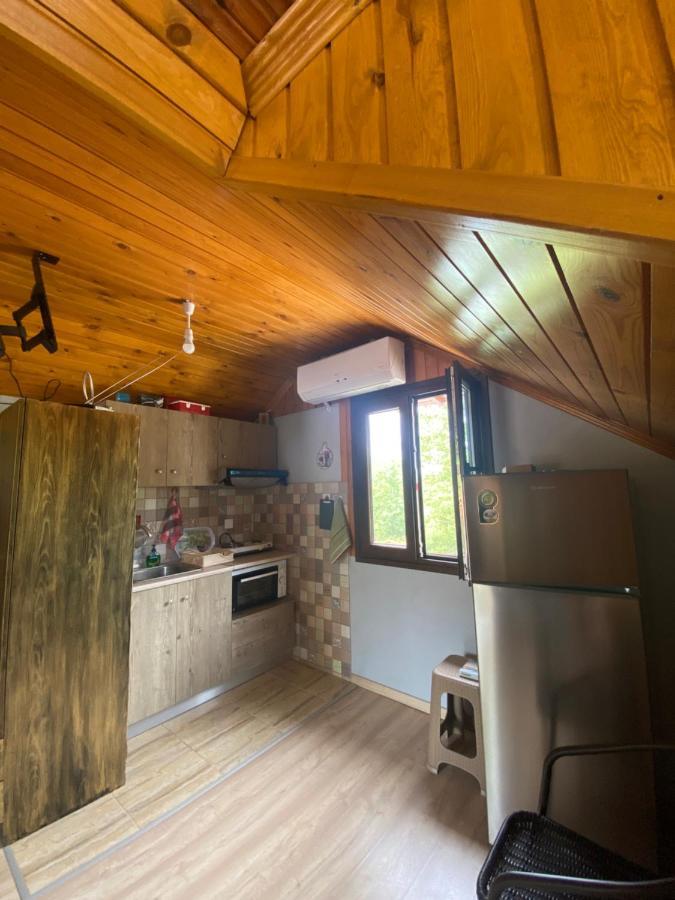 Γαληνη 3 Villa Litóchoron Dış mekan fotoğraf